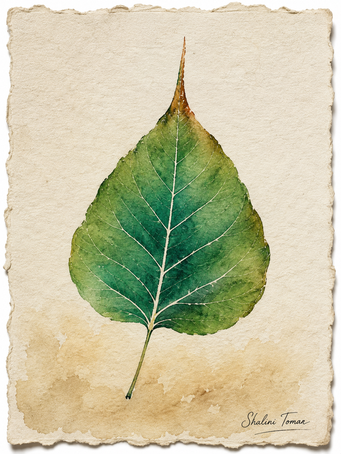 Green Bodhi leaf with delicate white veins on warm handmade-paper tones