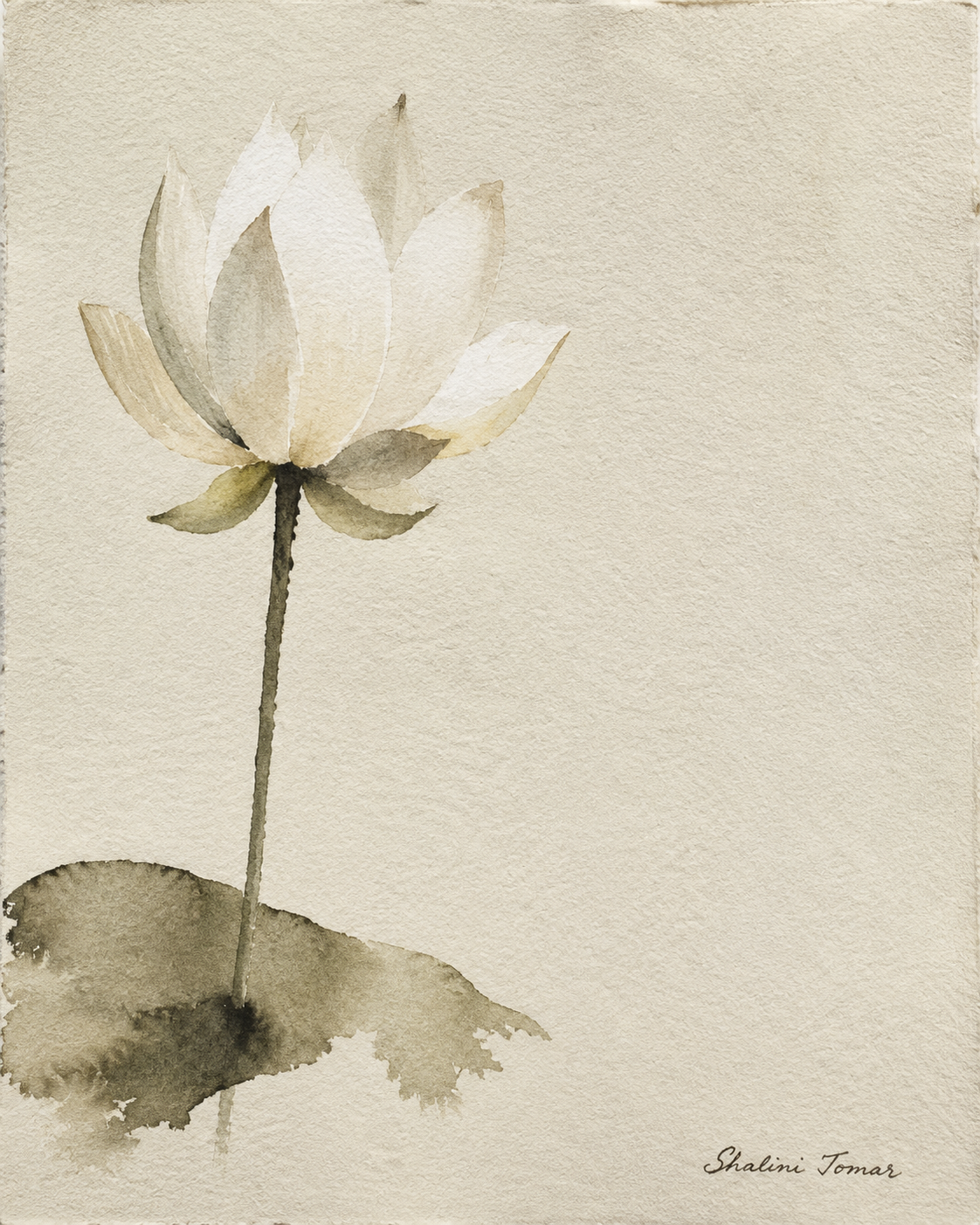 White lotus rising from a muted olive leaf in a minimalist watercolor painting